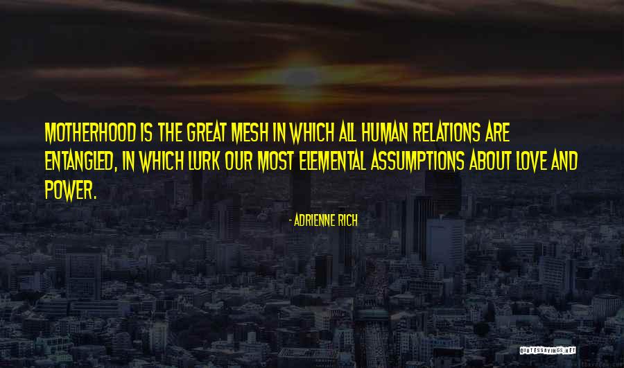 Human Relations Quotes By Adrienne Rich