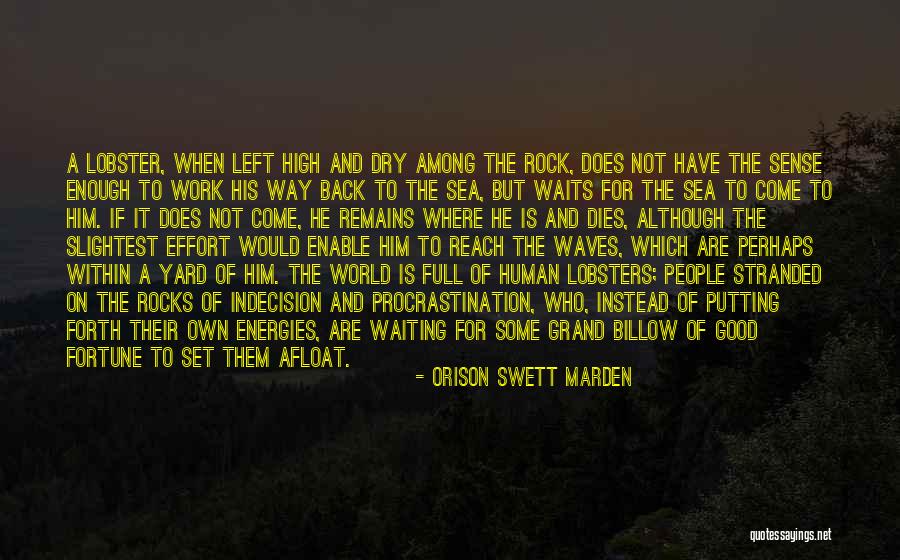 Human Remains Quotes By Orison Swett Marden Human Remains Quotes By Orison Swett Marden