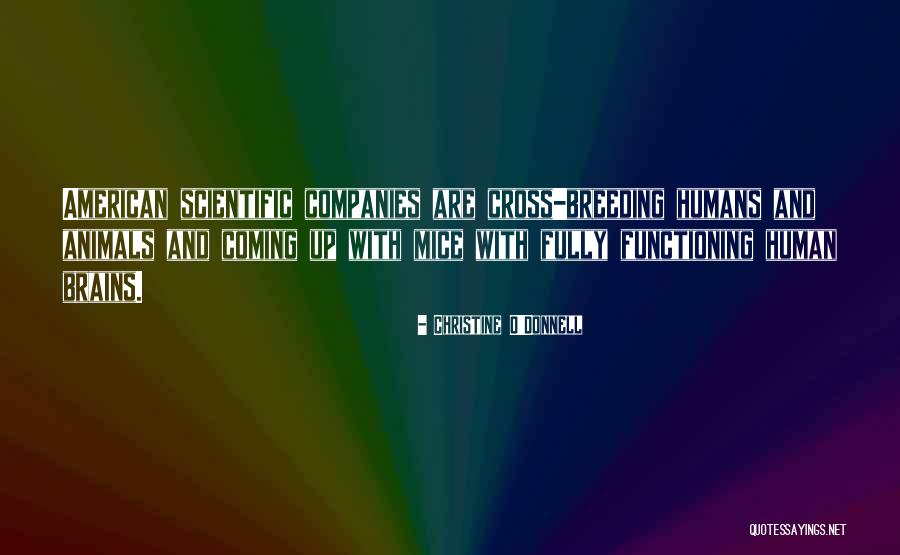 Human Research Quotes By Christine O'Donnell Human Research Quotes By Christine O'Donnell