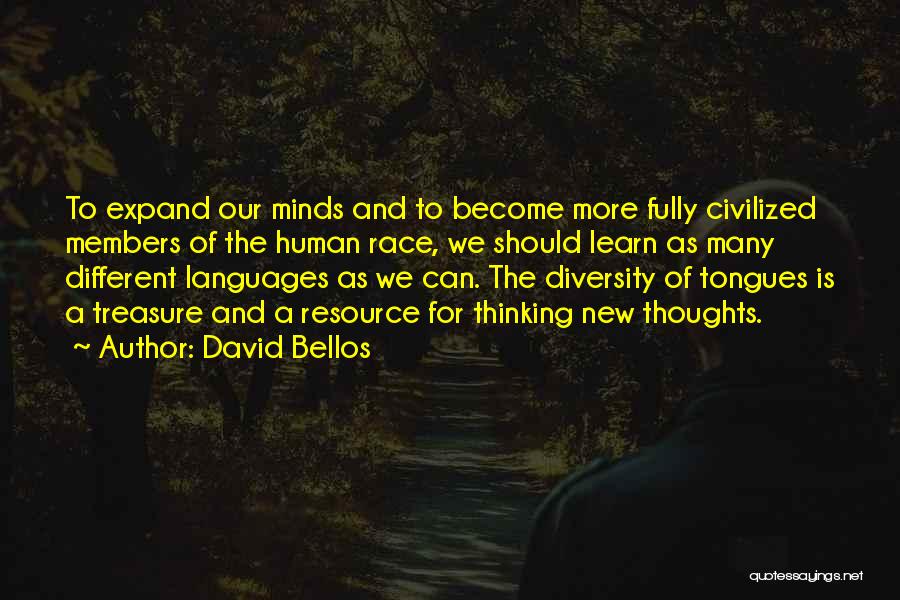 Human Resource Quotes By David Bellos