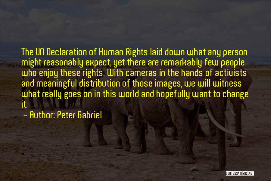 Human Rights Activists Quotes By Peter Gabriel