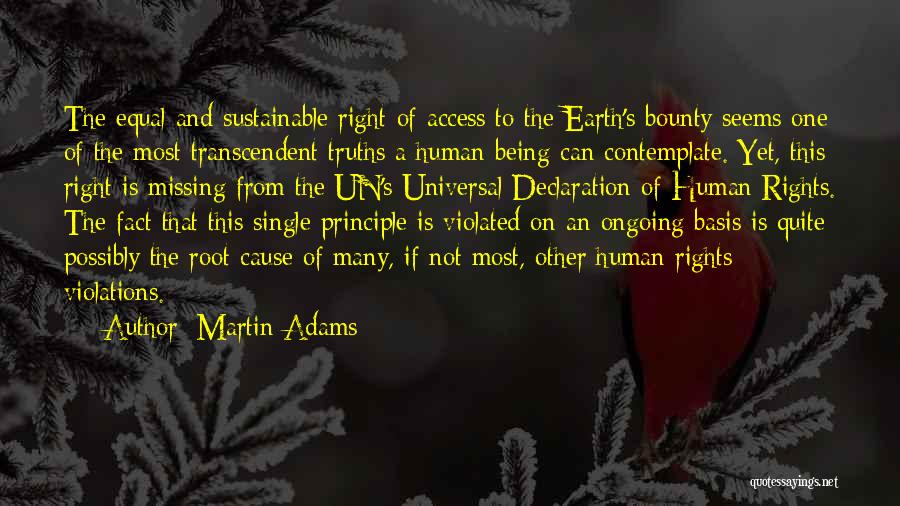 Human Rights Violations Quotes By Martin Adams