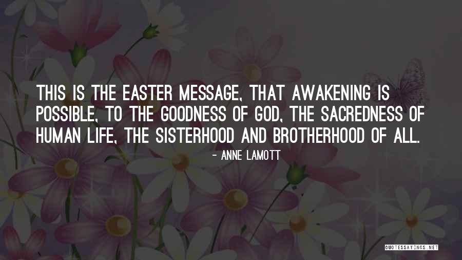 Human Sacredness Quotes By Anne Lamott Human Sacredness Quotes By Anne Lamott