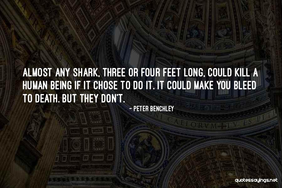 Human Shark Quotes By Peter Benchley Human Shark Quotes By Peter Benchley