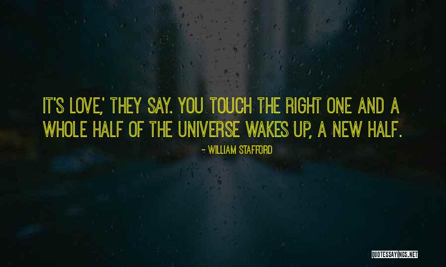 Human Shark Quotes By William Stafford Human Shark Quotes By William Stafford