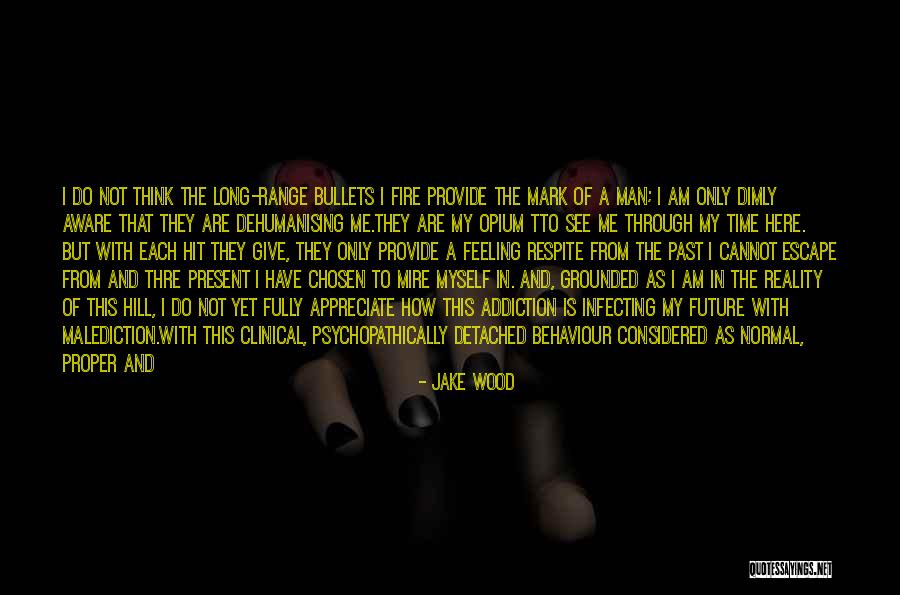 Human Soul On Fire Quotes By Jake Wood