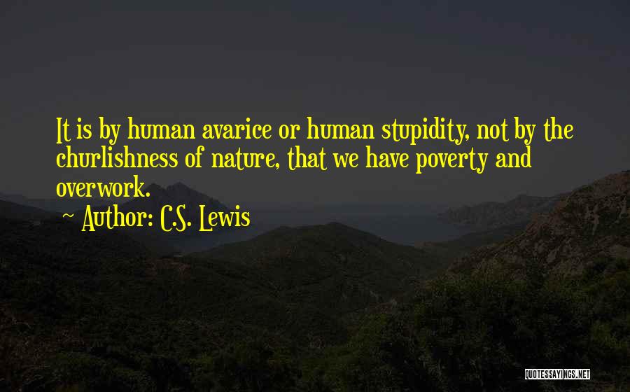 Human Stupidity Quotes By C.S. Lewis