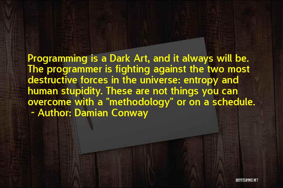 Human Stupidity Quotes By Damian Conway