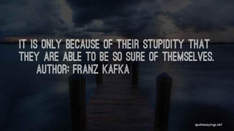 Human Stupidity Quotes By Franz Kafka