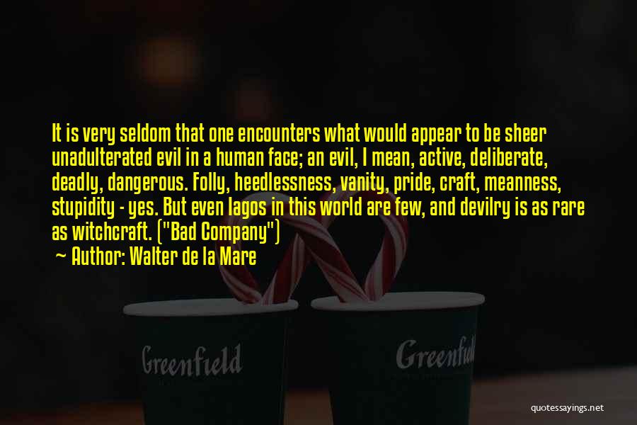 Human Stupidity Quotes By Walter De La Mare