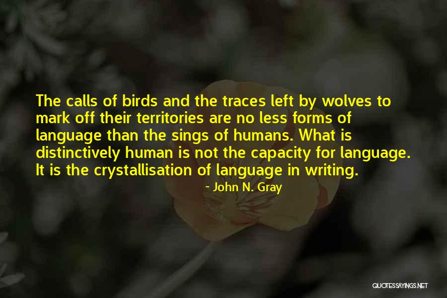 Human Traces Quotes By John N. Gray