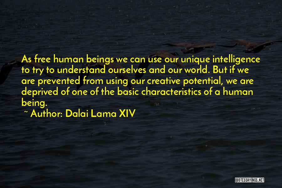 Human Use Of Human Beings Quotes By Dalai Lama XIV