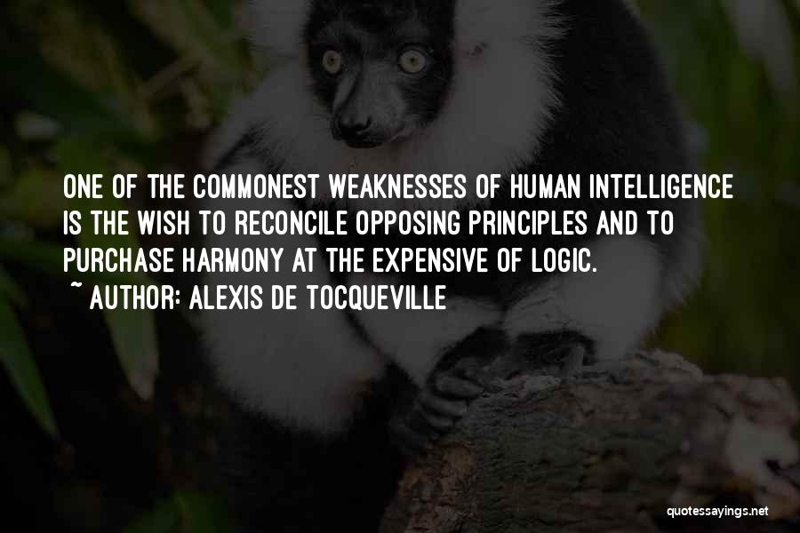 Human Weaknesses Quotes By Alexis De Tocqueville