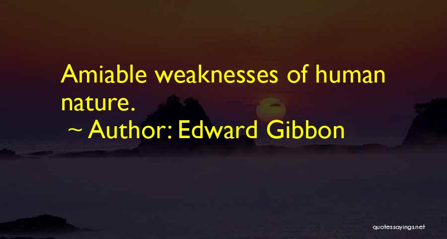 Human Weaknesses Quotes By Edward Gibbon