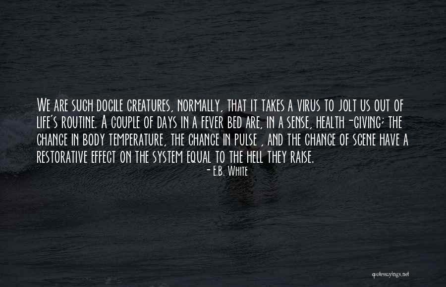 Humanidades Disciplinas Quotes By E.B. White Humanidades Disciplinas Quotes By E.B. White
