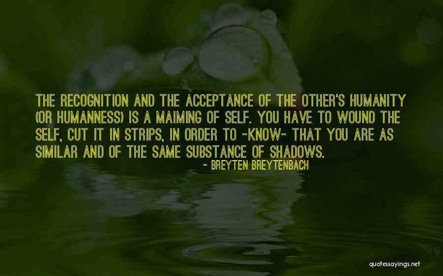 Humanity Advice Quotes By Breyten Breytenbach Humanity Advice Quotes By Breyten Breytenbach