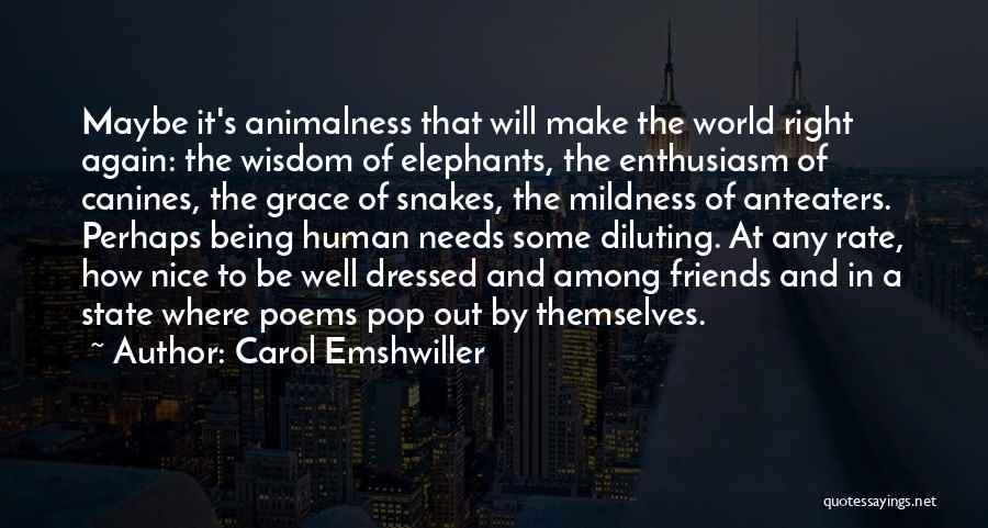 Humanity And Animals Quotes By Carol Emshwiller