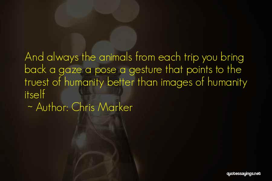 Humanity And Animals Quotes By Chris Marker