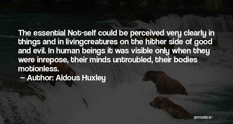 Humanity And Evil Quotes By Aldous Huxley