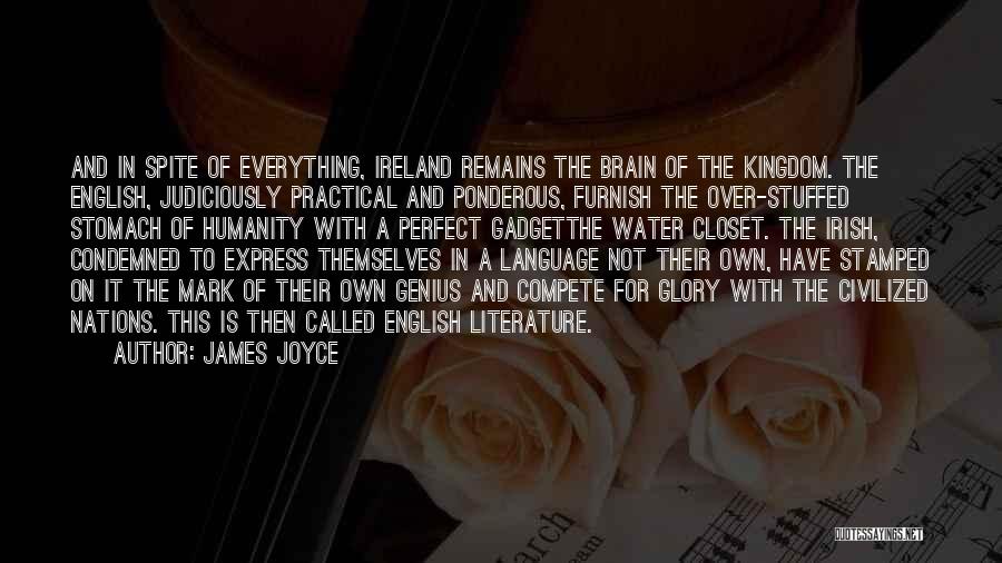 Humanity And Literature Quotes By James Joyce