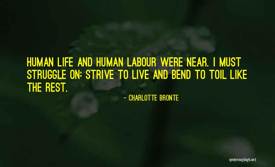 Humanity And Society Quotes By Charlotte Bronte