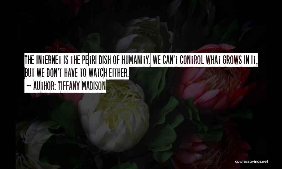 Humanity And Society Quotes By Tiffany Madison
