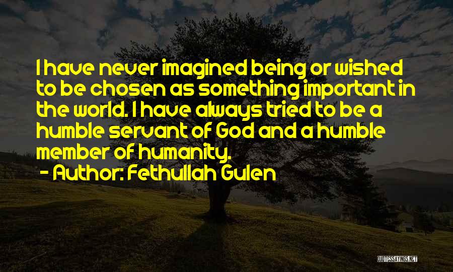 Humanity And The World Quotes By Fethullah Gulen