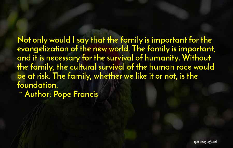 Humanity And The World Quotes By Pope Francis