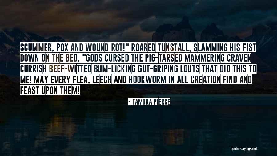 Humanity Divided Quotes By Tamora Pierce Humanity Divided Quotes By Tamora Pierce