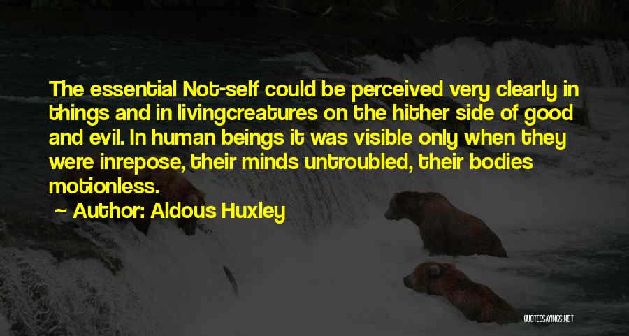 Humanity Good And Evil Quotes By Aldous Huxley