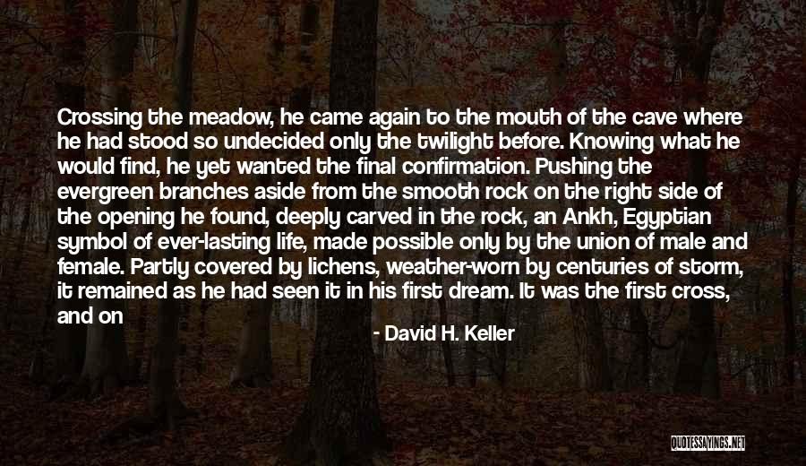 Humanity In Life Quotes By David H. Keller Humanity In Life Quotes By David H. Keller