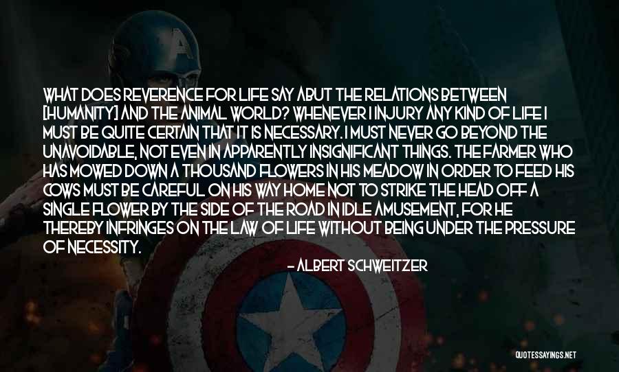 Humanity In The Road Quotes By Albert Schweitzer Humanity In The Road Quotes By Albert Schweitzer