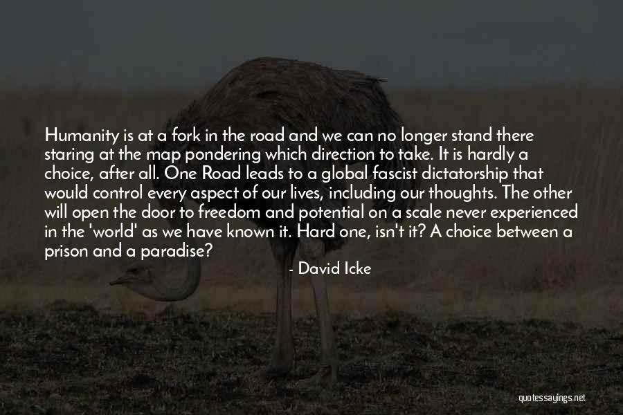 Humanity In The Road Quotes By David Icke