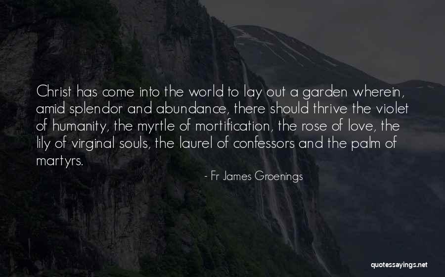 Humanity Love Quotes By Fr James Groenings