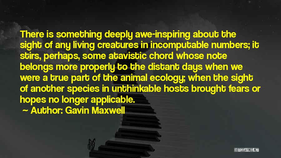 Humanity Nature Quotes By Gavin Maxwell
