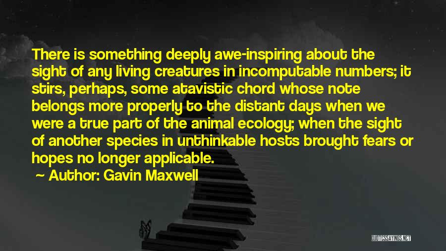 Humanity Vs Nature Quotes By Gavin Maxwell