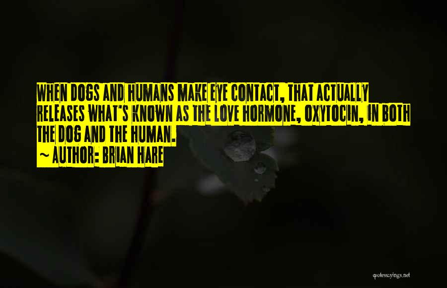 Humans And Dogs Quotes By Brian Hare