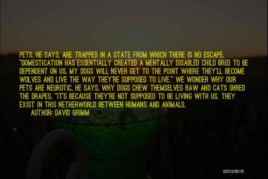 Humans And Dogs Quotes By David Grimm