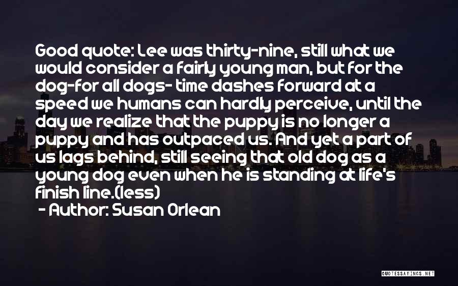 Humans And Dogs Quotes By Susan Orlean