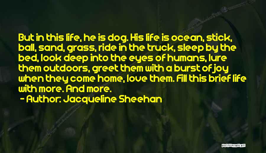 Humans And Love Quotes By Jacqueline Sheehan