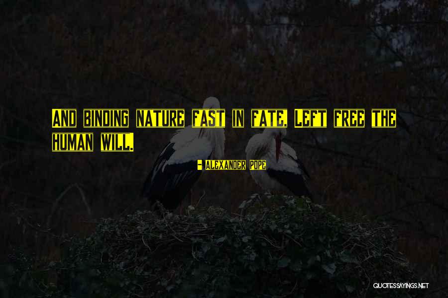 Humans And Nature Quotes By Alexander Pope Humans And Nature Quotes By Alexander Pope