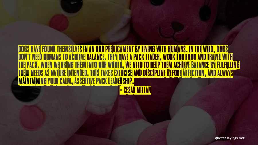 Humans And Nature Quotes By Cesar Millan Humans And Nature Quotes By Cesar Millan