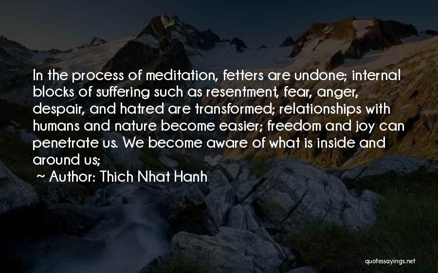 Humans And Nature Quotes By Thich Nhat Hanh