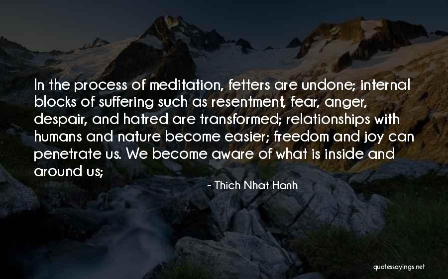 Humans And Nature Quotes By Thich Nhat Hanh