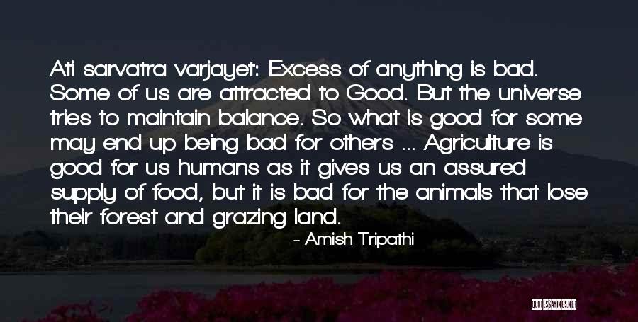 Humans And The Universe Quotes By Amish Tripathi Humans And The Universe Quotes By Amish Tripathi