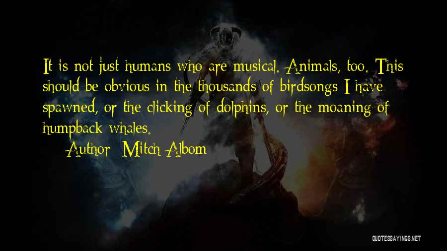 Humans Are Animals Quotes By Mitch Albom