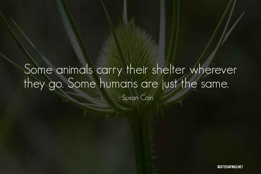 Humans Are Animals Quotes By Susan Cain