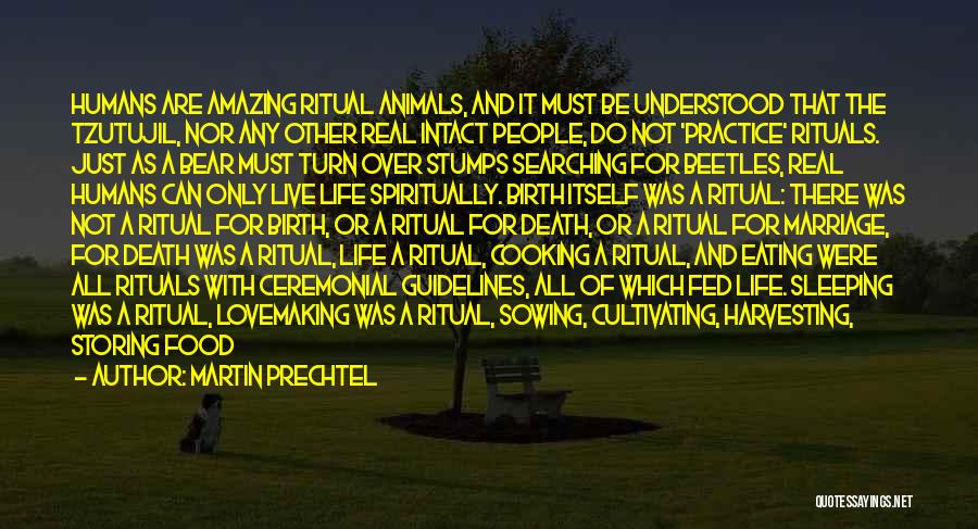 Humans Are Like Animals Quotes By Martin Prechtel