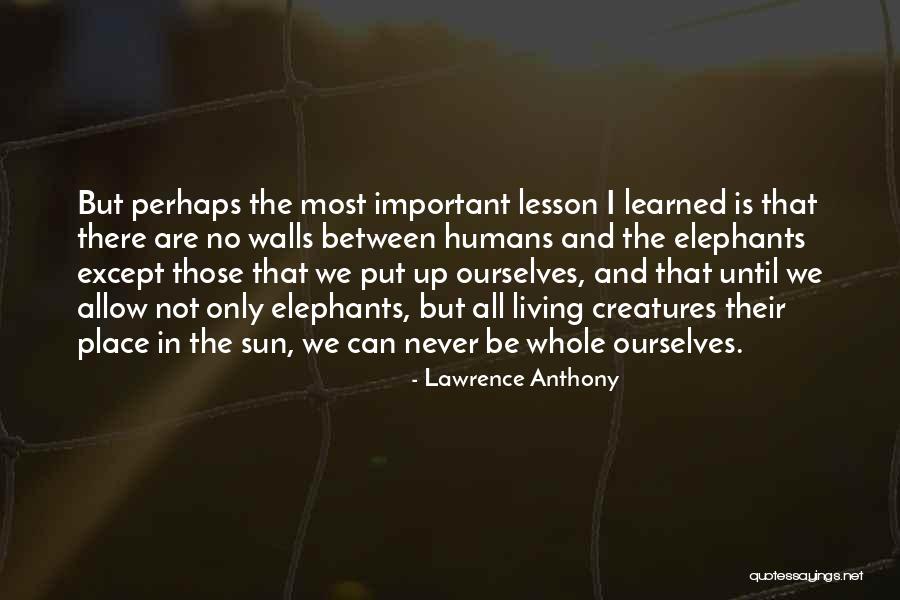 Humans Are More Important Than Animals Quotes By Lawrence Anthony Humans Are More Important Than Animals Quotes By Lawrence Anthony