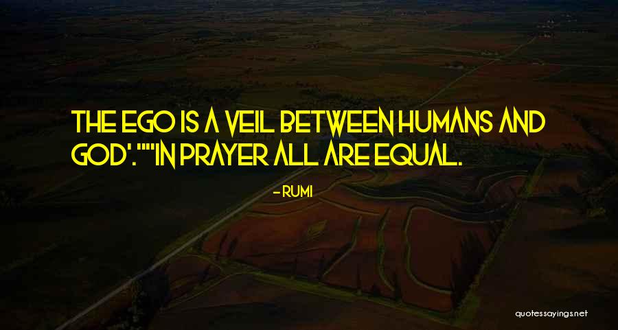 Humans Are Not Equal Quotes By Rumi